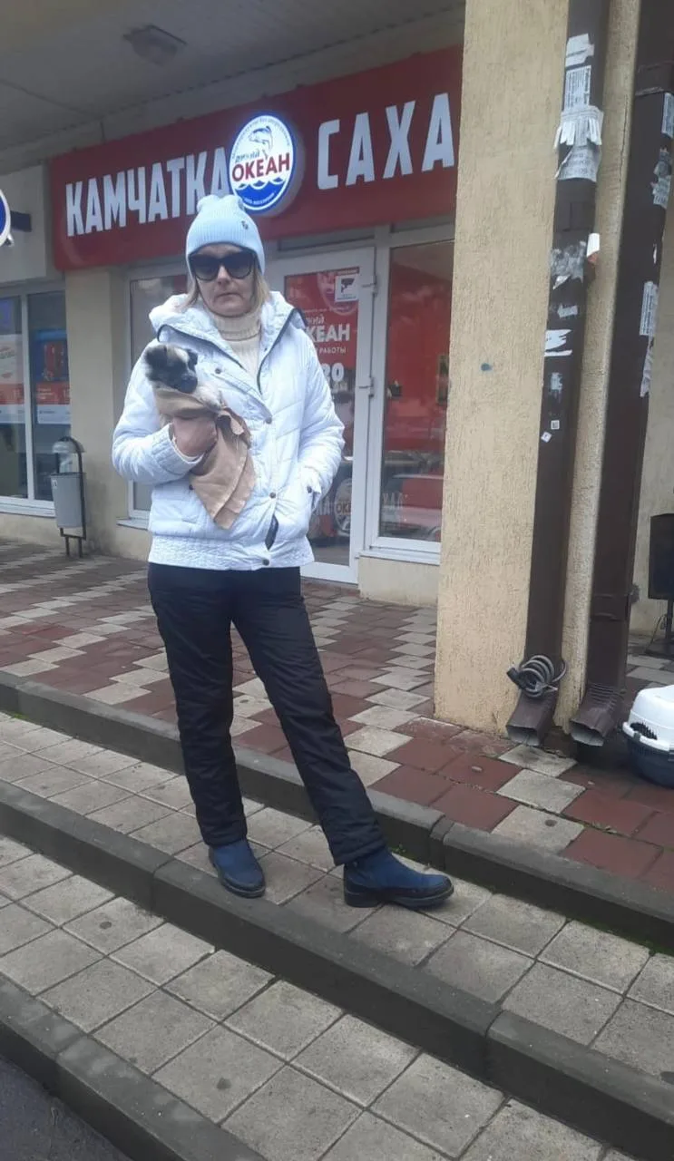 🐈🐕 ЗАЛОЖНИКИ НЕВМЕНЯЕМОСТИ