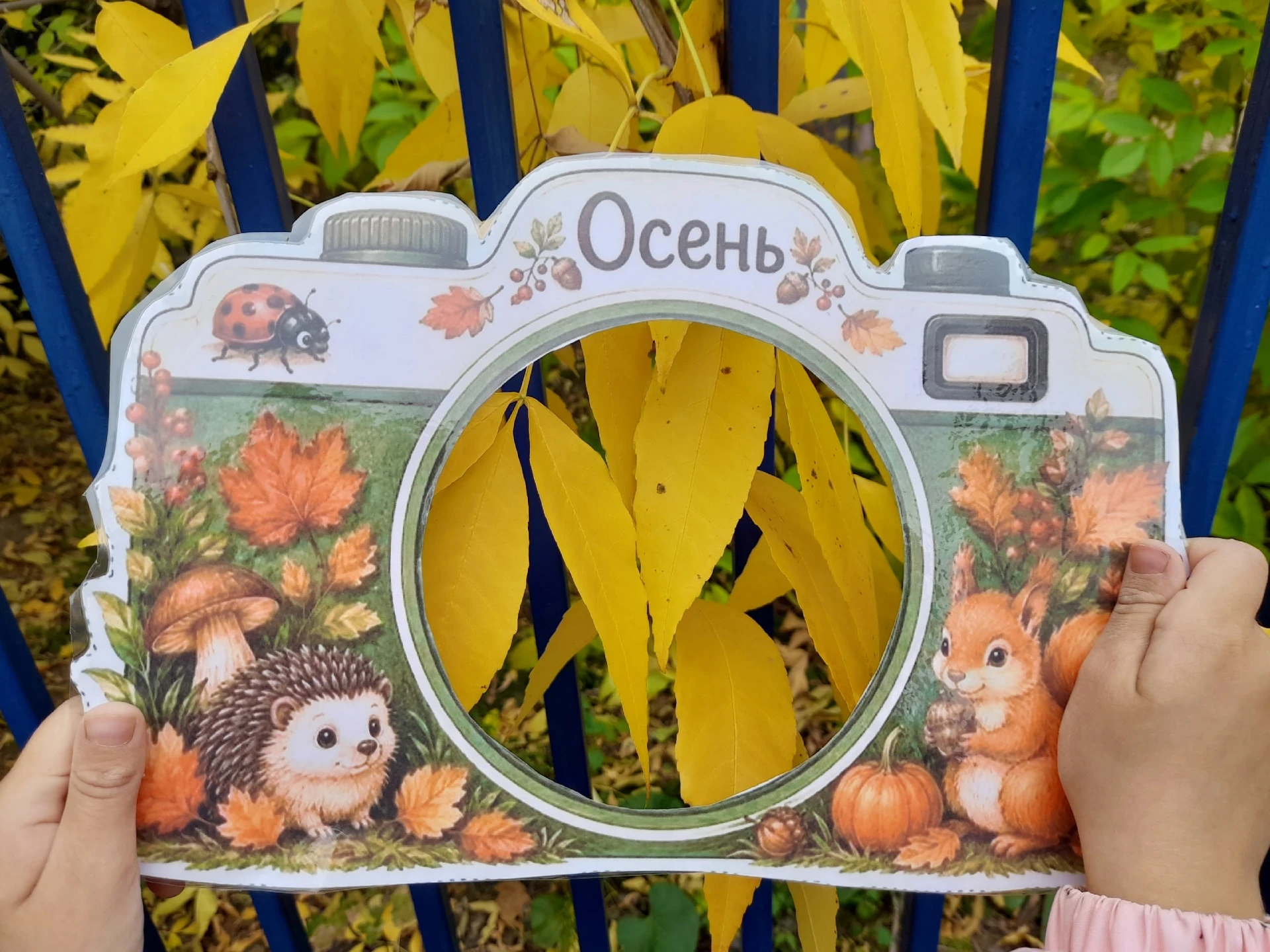 🍂 Осенняя прогулка в старшей группе «Радуга»: ловим красоту в объектив! 🍂