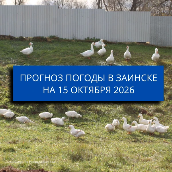 В Заинске 15 октября ожидается до +23 градусов