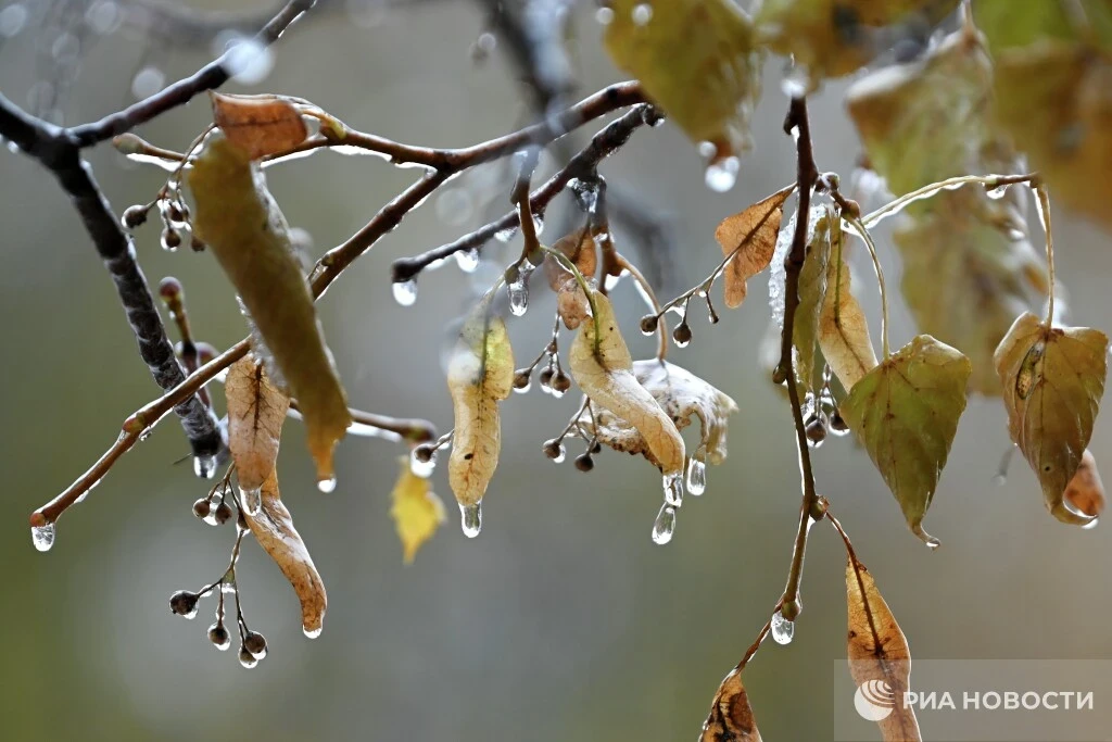 ☔️ Бабье лето — все: в Крыму во вторник резко изменится погода.