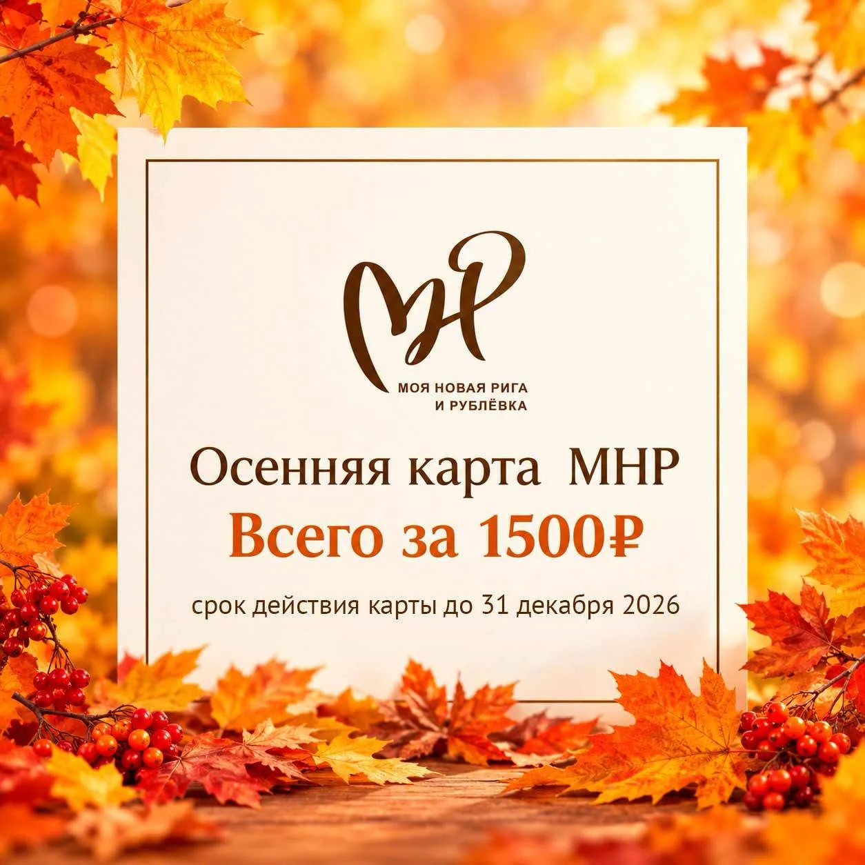 🚀 Мы обновили приложение «Моя Новая Рига» и запустили осеннюю карту МНР