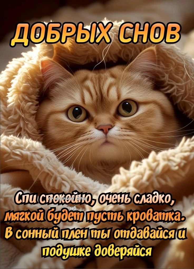 🥰 Оставляйте реакции, если понравилась открытка и делитесь с близкими ❤
