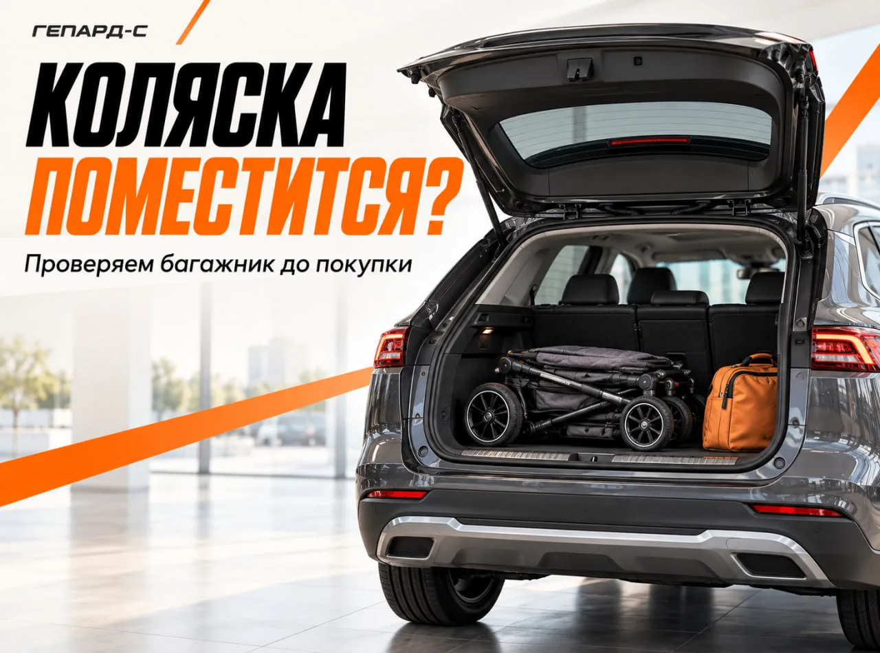 🧳 На осмотр автомобиля — со своей коляской. И это не шутка.