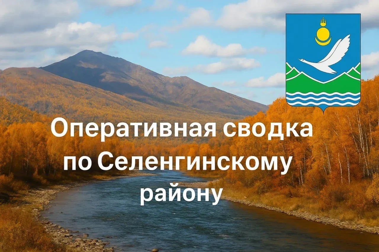 📣 Сводка на 12 октября