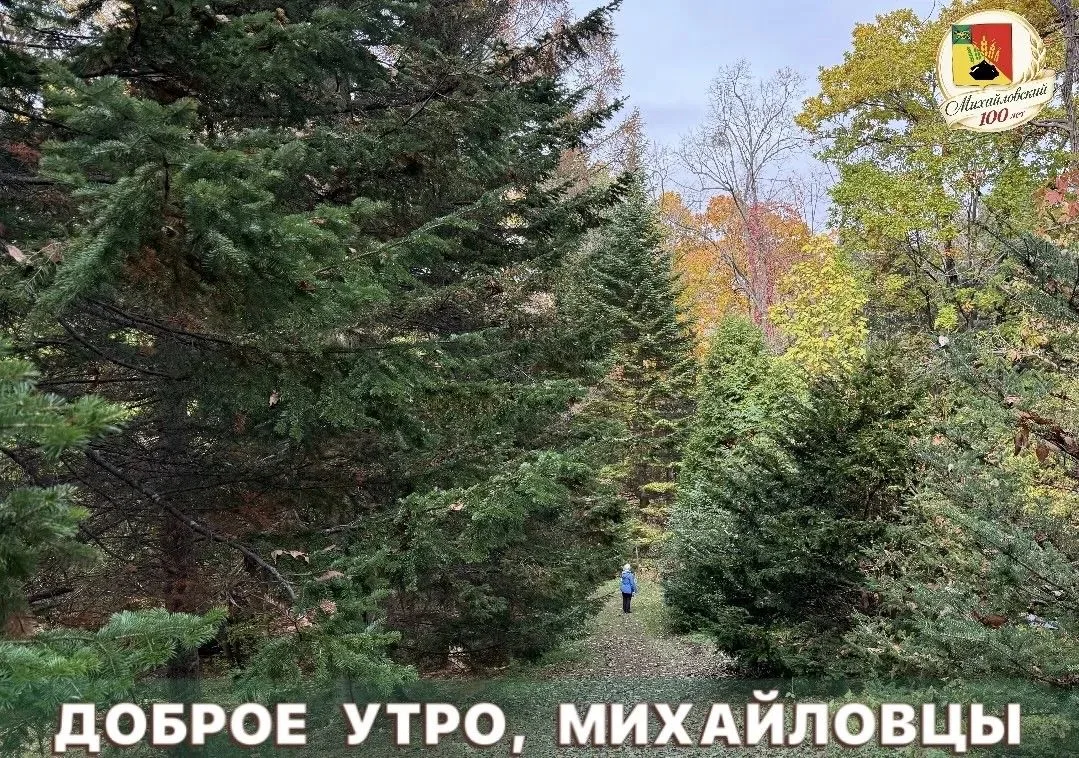 Доброе утро!