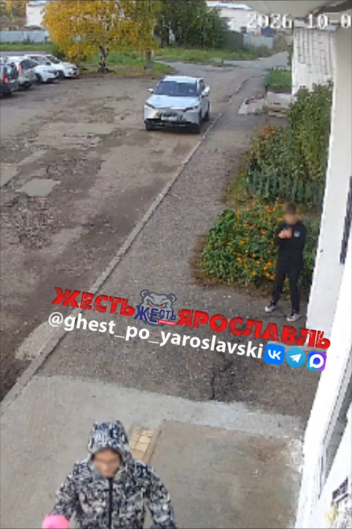 В Ярославле малолетние хулиганы терроризируют пенсионеров и снимают это на видео