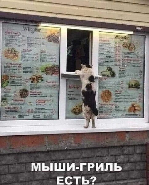 КуЗьМа в ТеМе