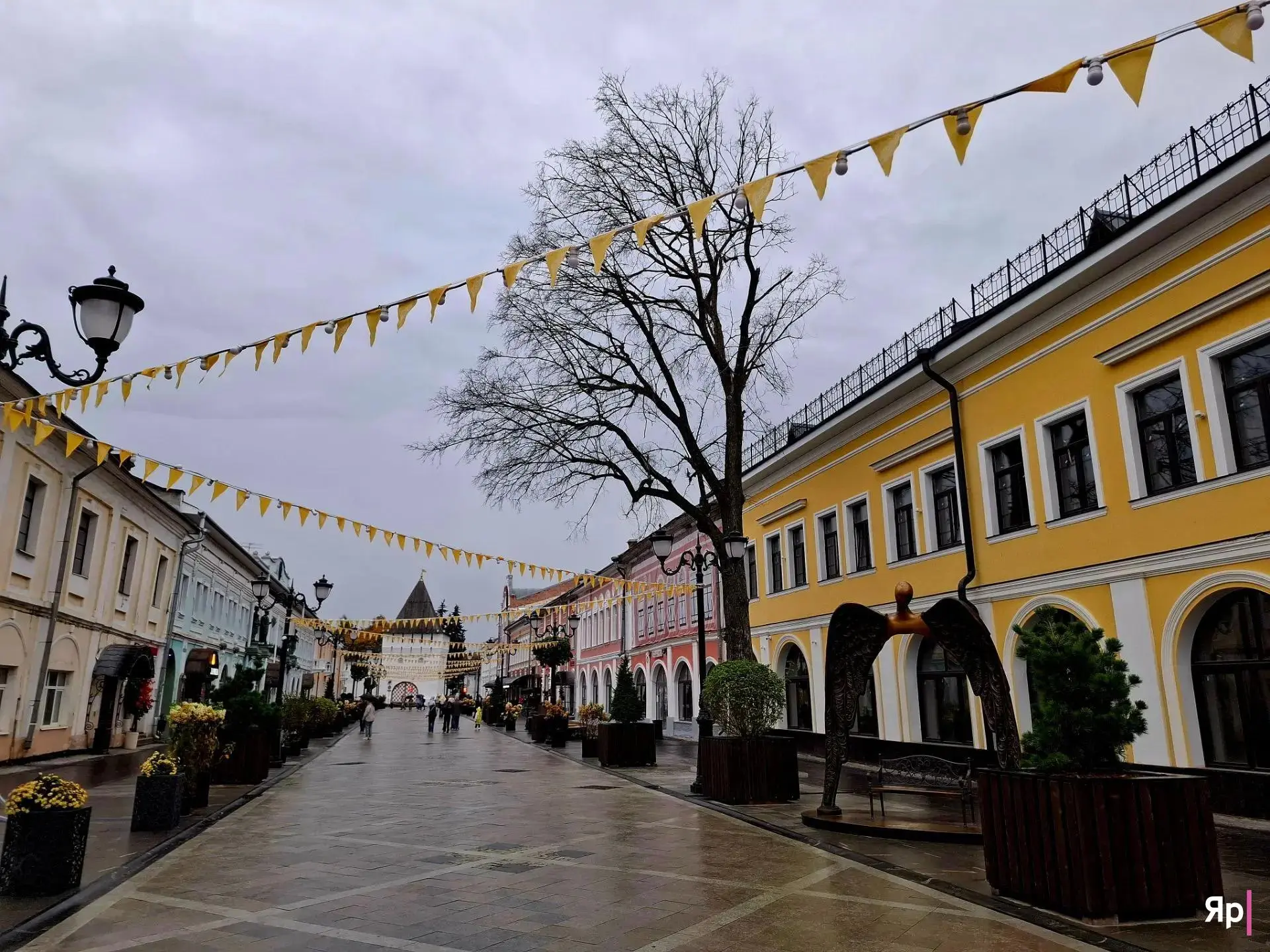 🌳 Эпопея о краснокнижном вязе