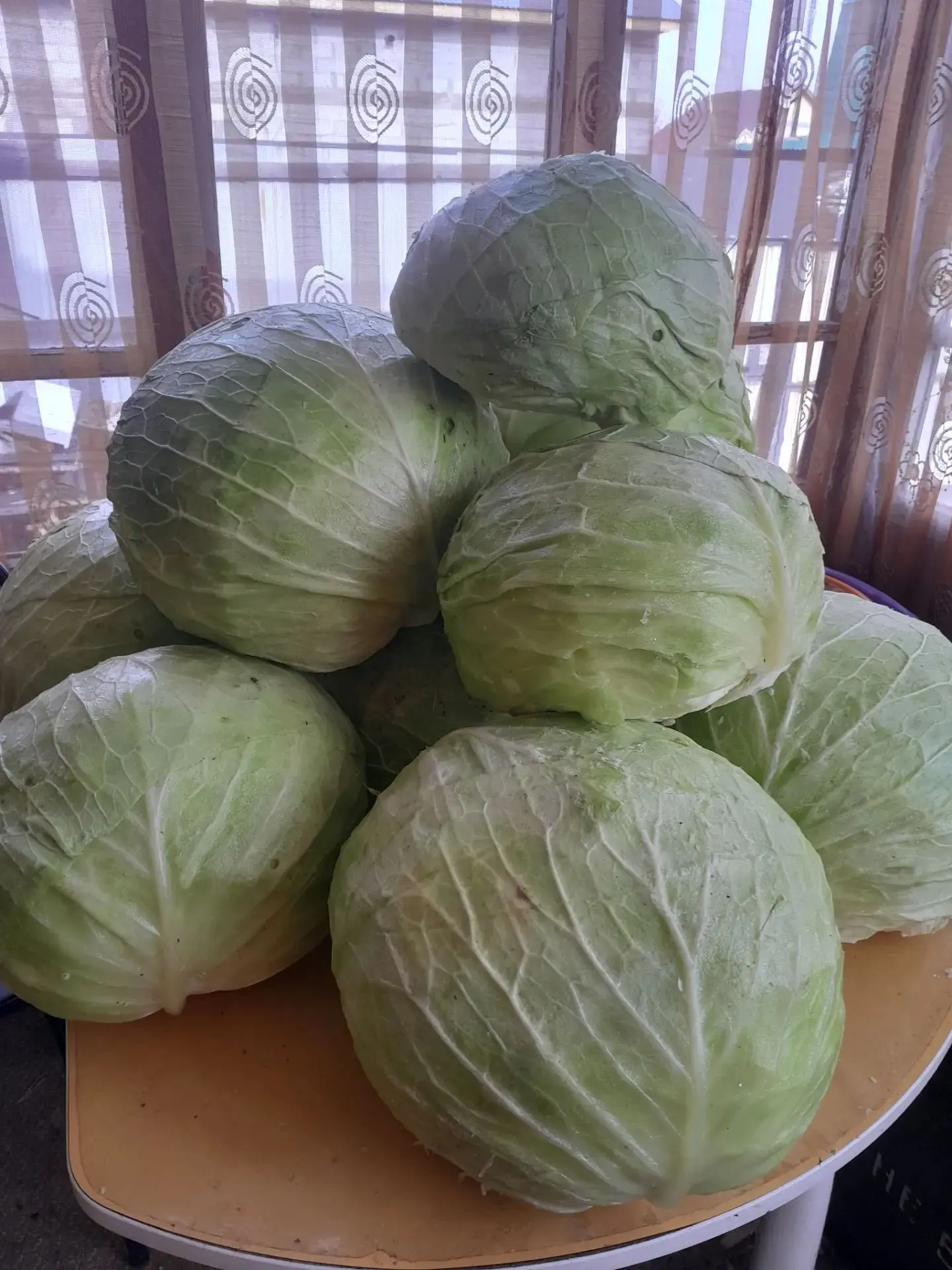 Продам капусту, сорт "Мегатон", цена 70 руб./кг. Самовывоз район Троллейбусного депо. 8...