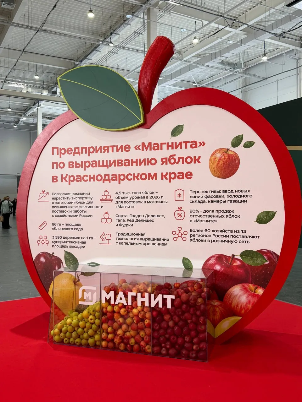😘 «Магнит» расширяет мощности хранения яблок
