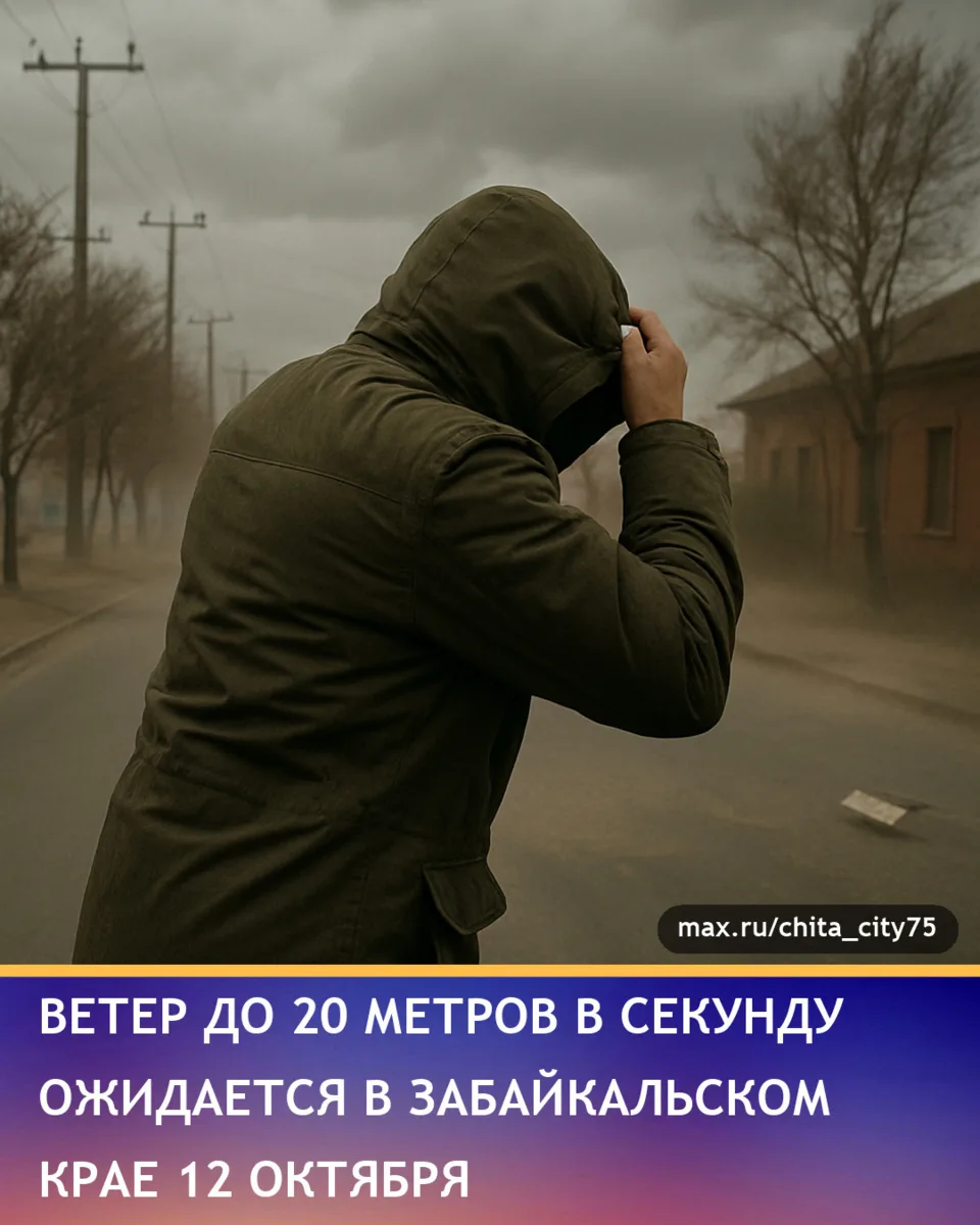 12 октября по Забайкальскому краю ожидается усиление ветровой нагрузки до 15-20 м/с, по...