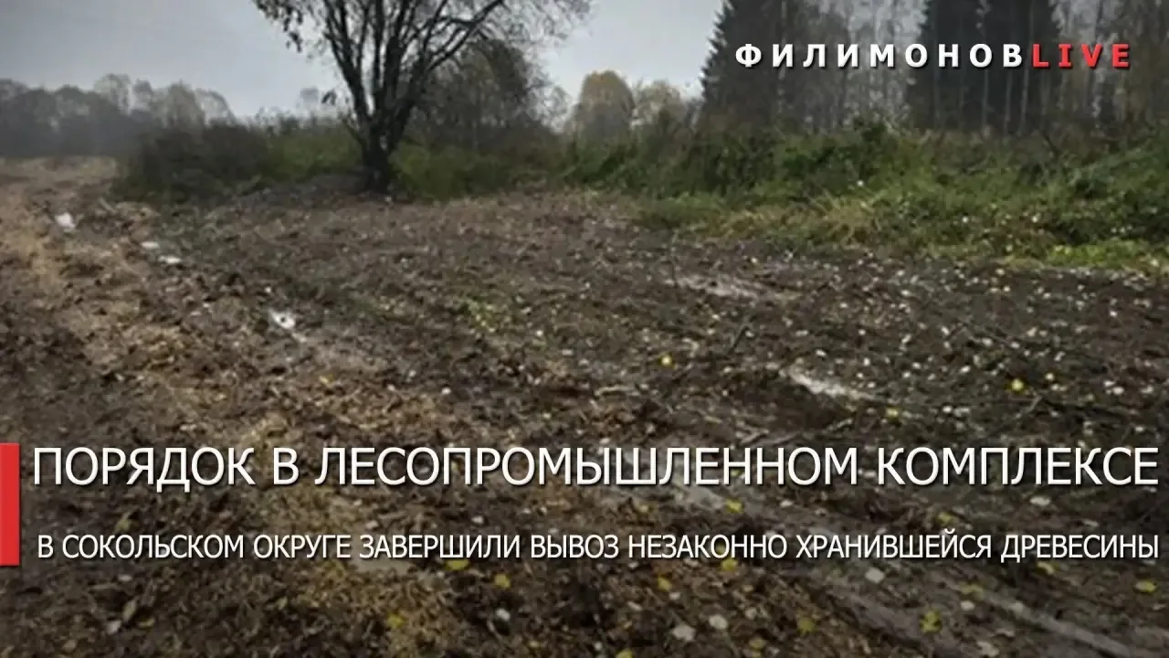 Незаконно складированную древесину полностью вывезли с сельхозземель в Сокольском округе.