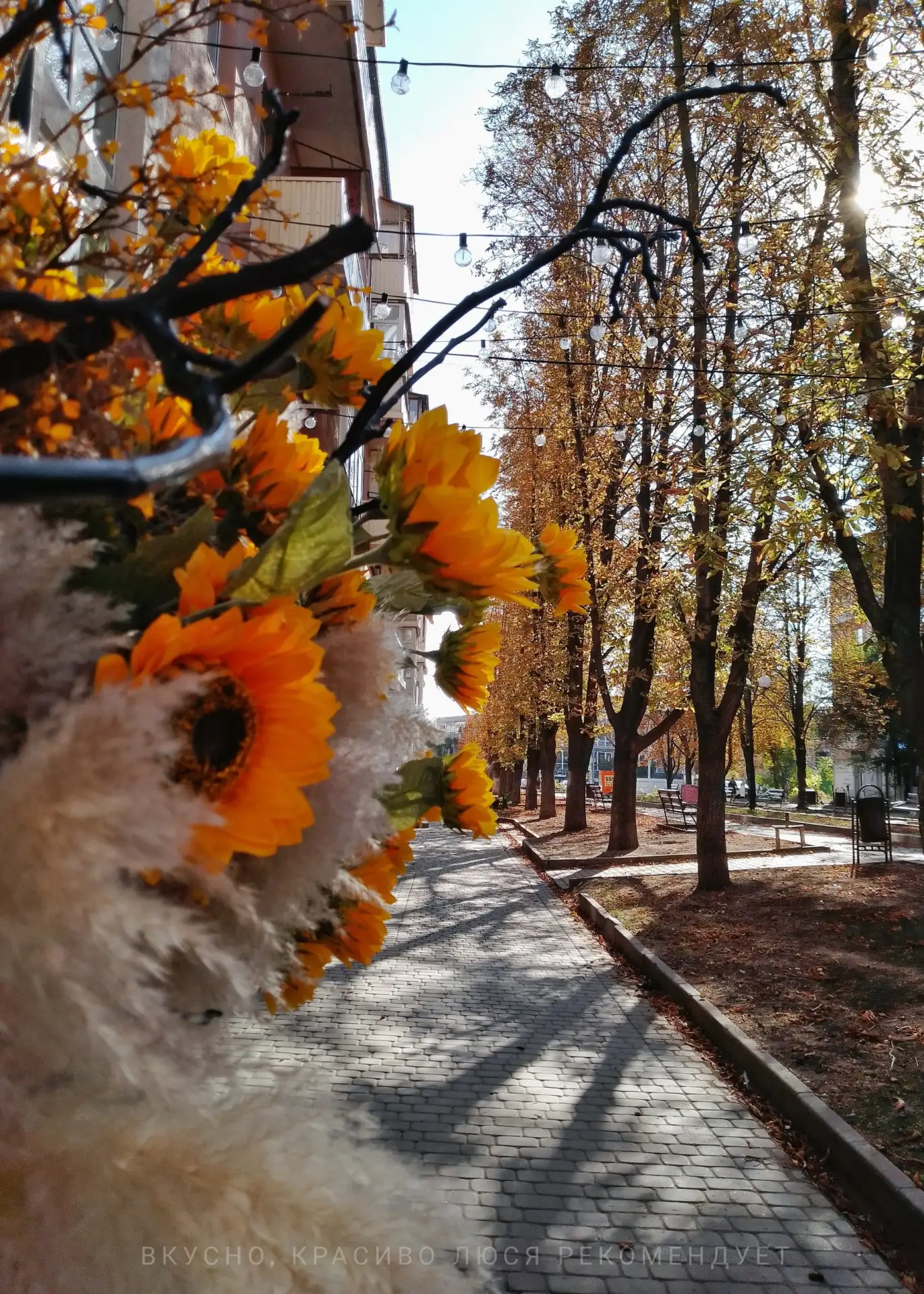 🍂 Пятница - время немного замедлиться