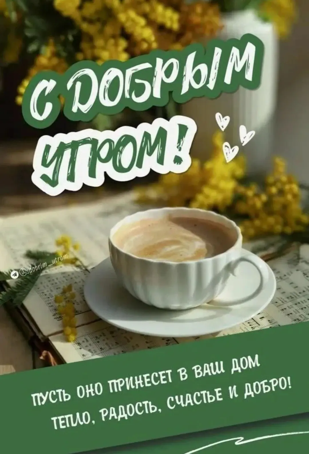 С Добрым утром.🌿