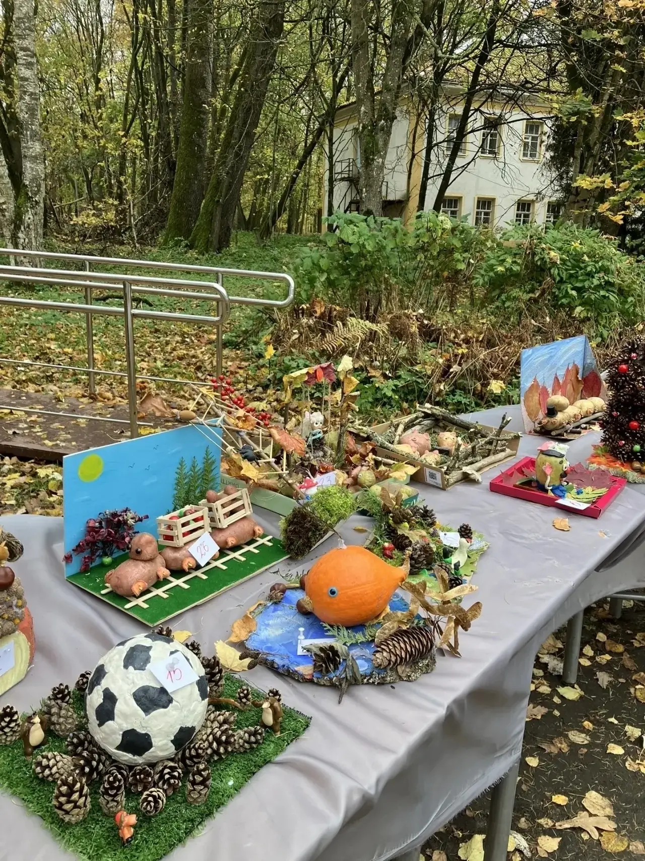 В Суйде прошел традиционный праздник «День картошки»