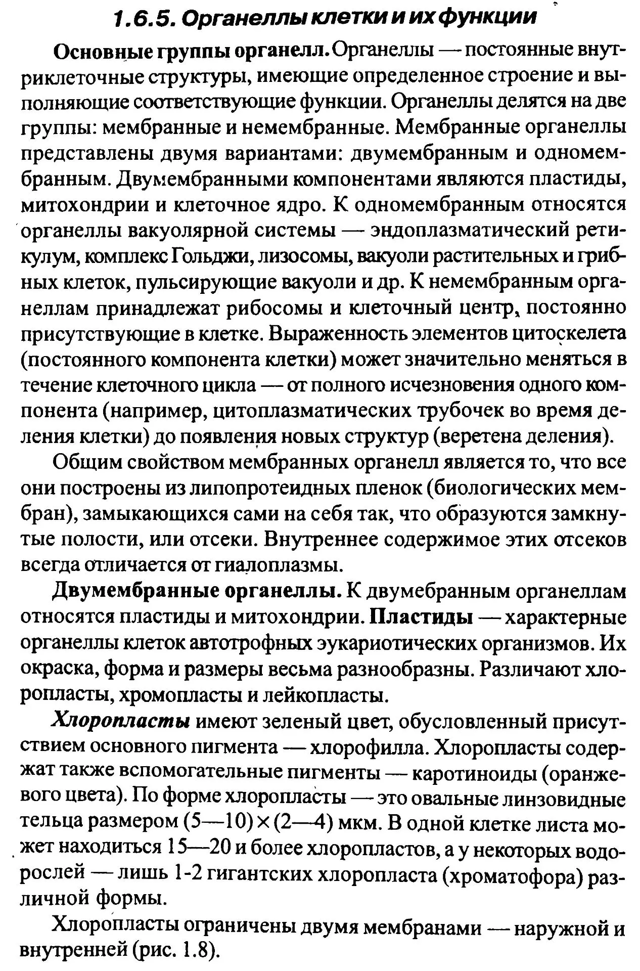 Органеллы клетки и их функции