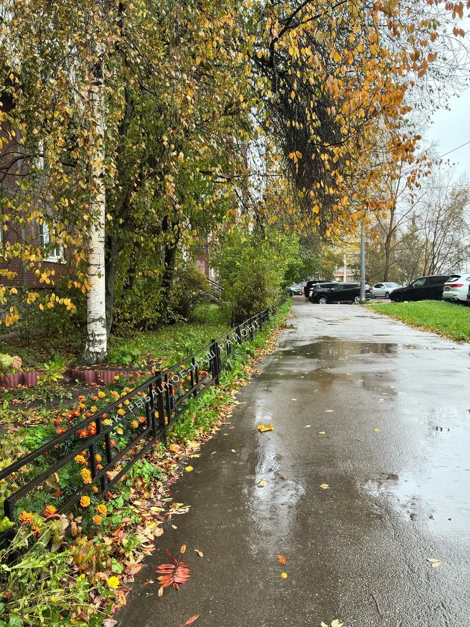 Осеннее Рыбацкое