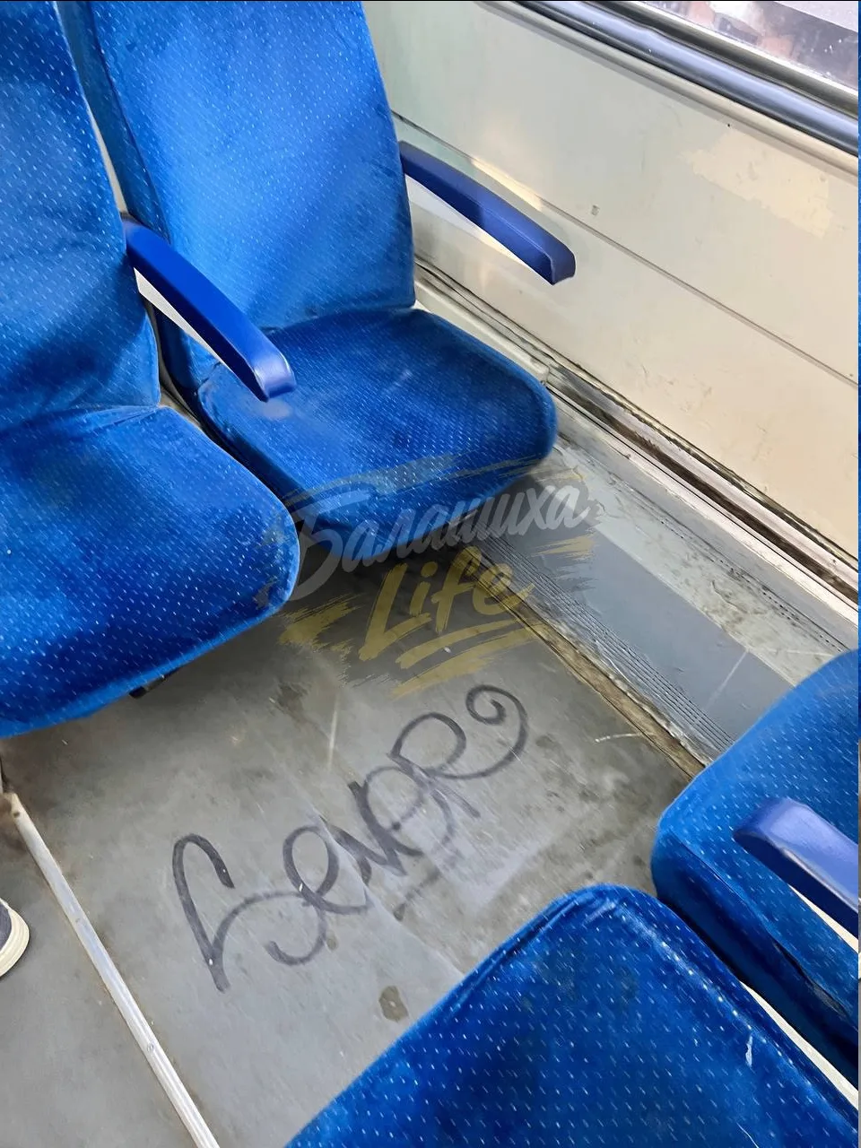 🚆 «Что происходит с Ногинским экспрессом?» — пассажир пожаловался на состояние электрички