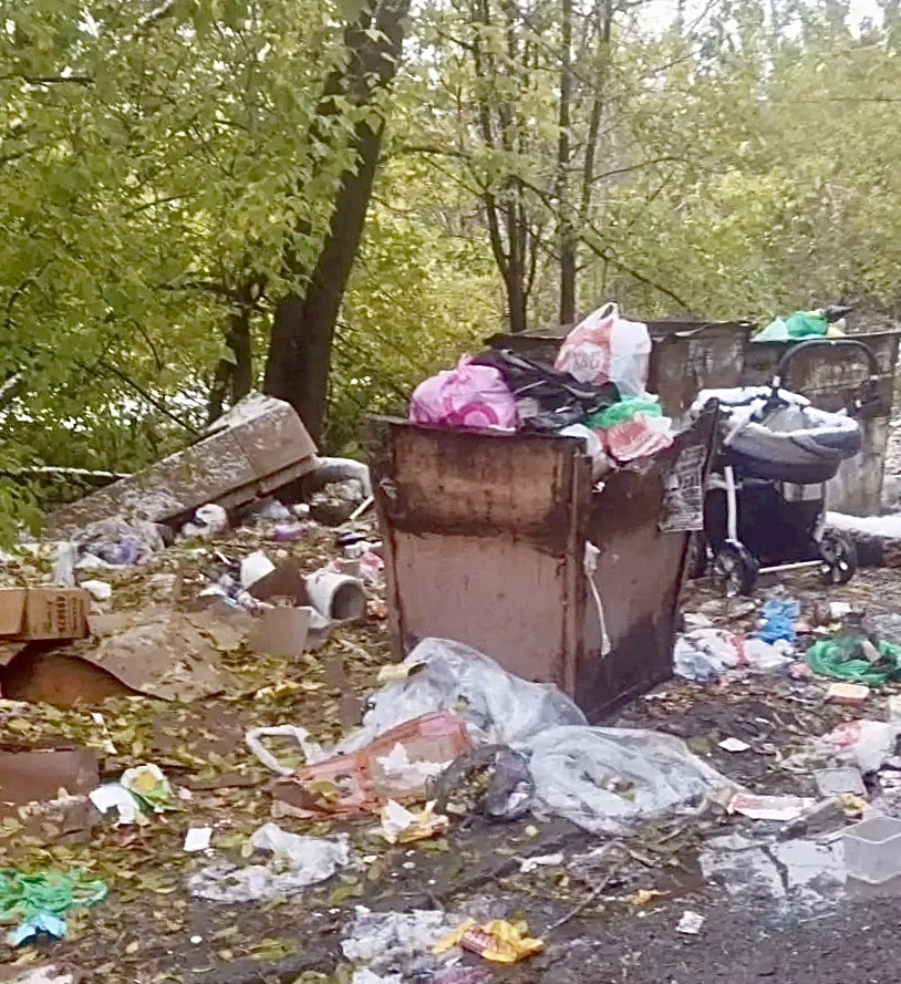 Подписчица просит помощи в проблеме с мусорной темой около дома.