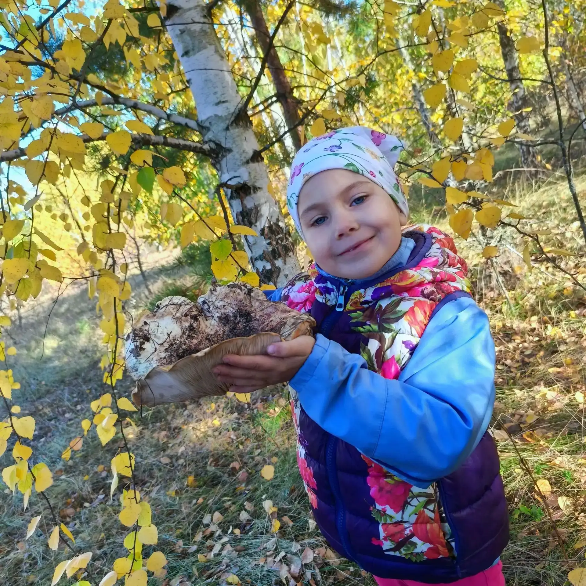 "Осенний урожай грибов". Расова Ангелина 1й класс