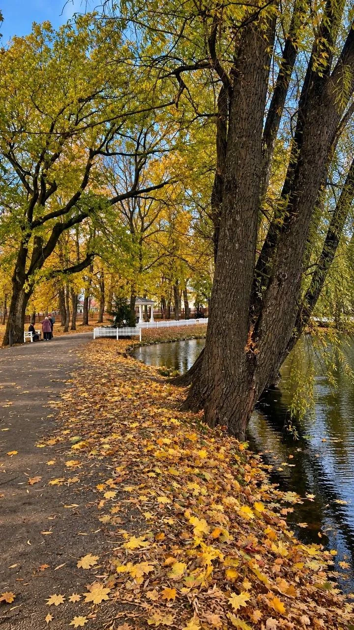 🍁 Осень в области — Большое Болдино
