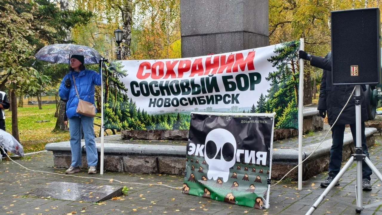 В Новосибирске прошла акция за сохранение леса