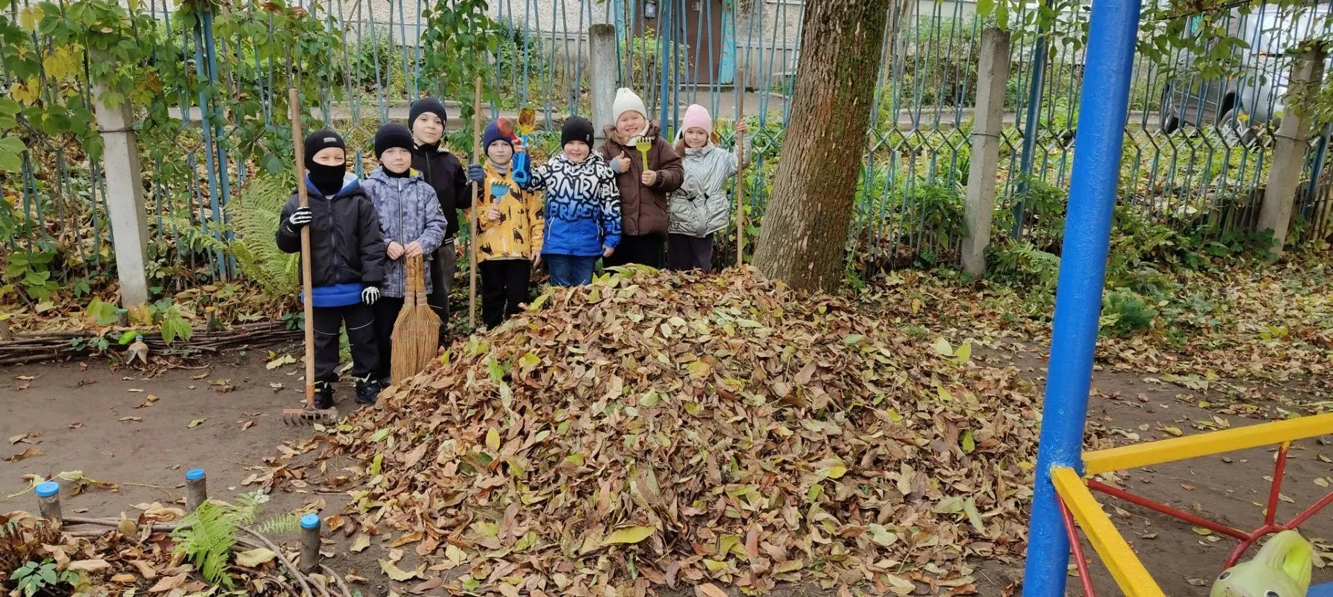 Осень — прекрасное время для экологического воспитания. Ребята подготовительной группы ...