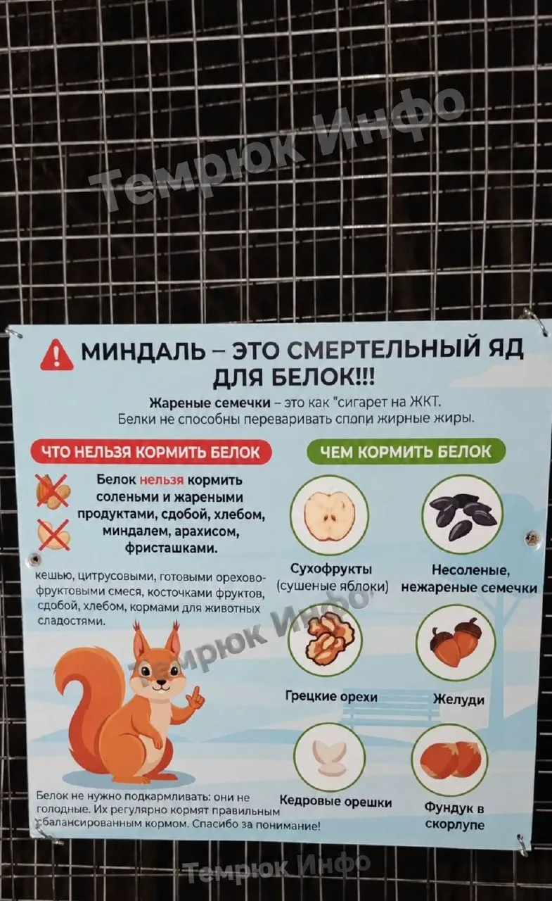 😎 "Белки не способны переваривать спопи жирные жиры"
