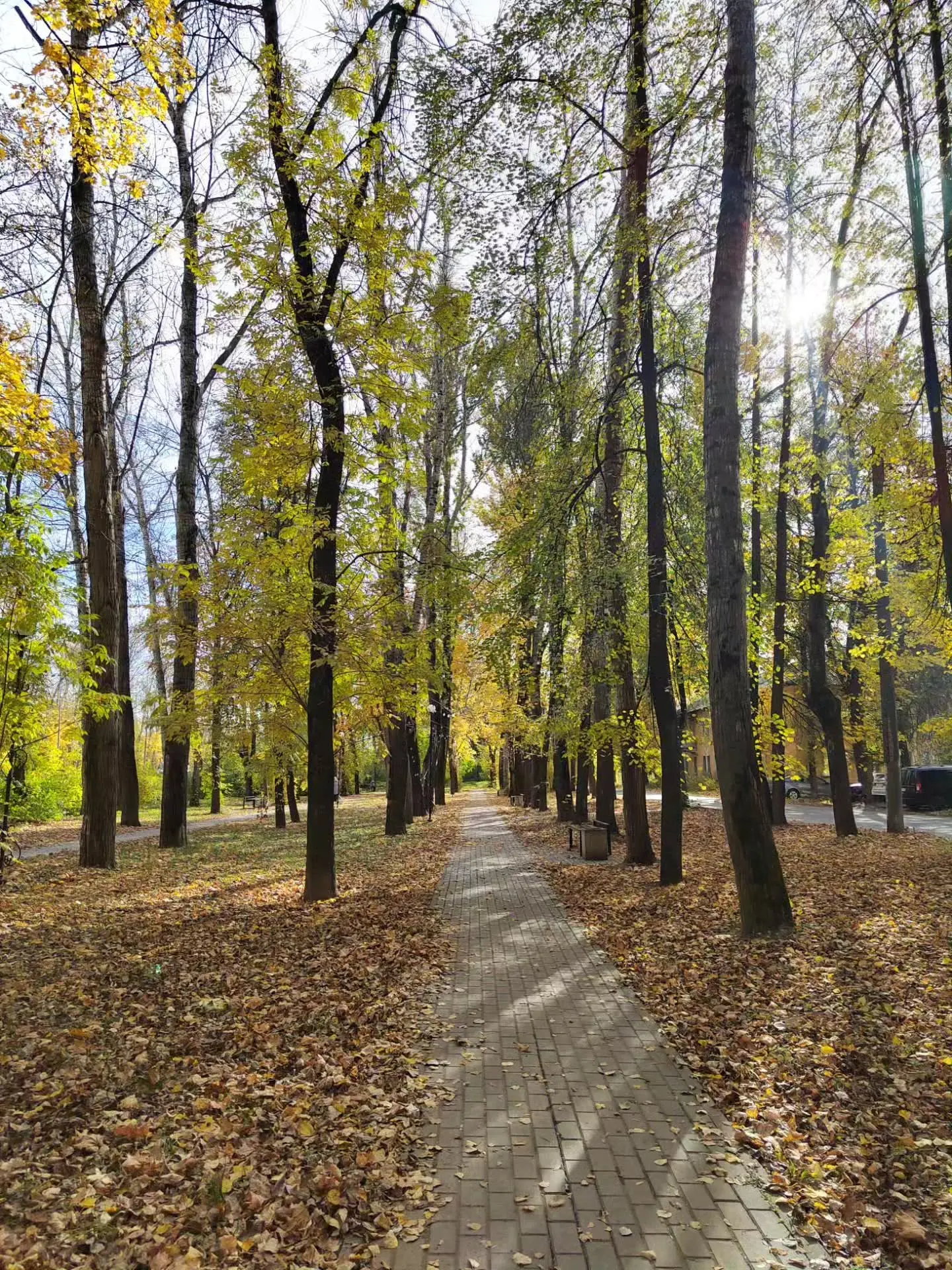 Октябрь - золотое время года. 💛