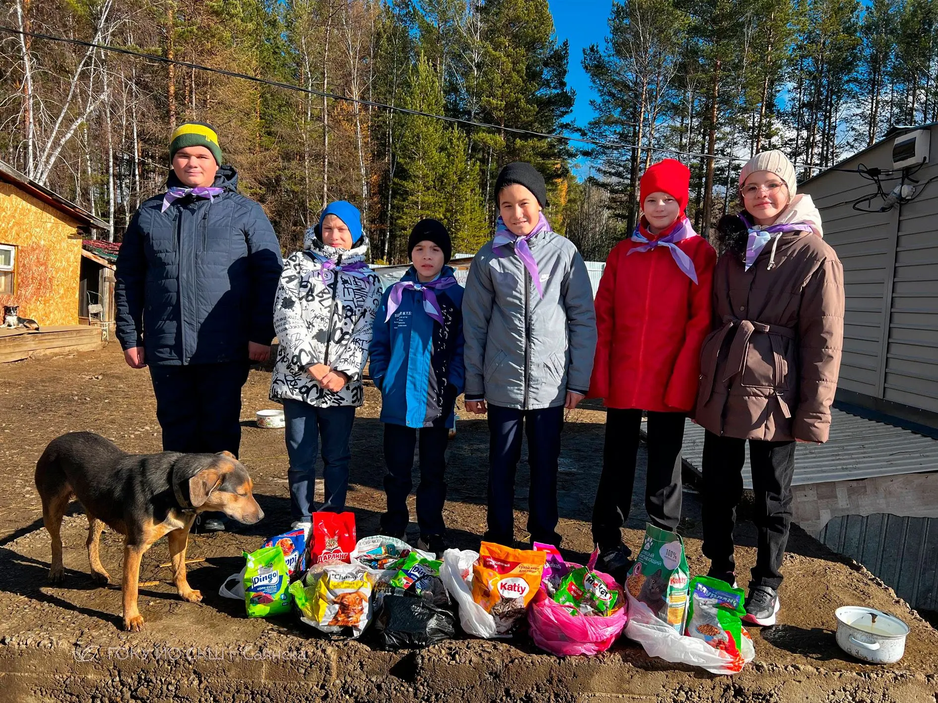 🐾❤️ «Миска добра»: вместе мы можем больше!