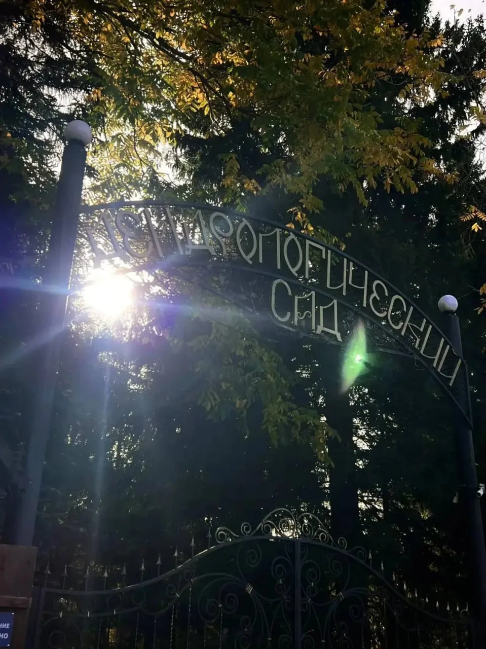 Доброго утра осеннего понедельника 🌳🌳