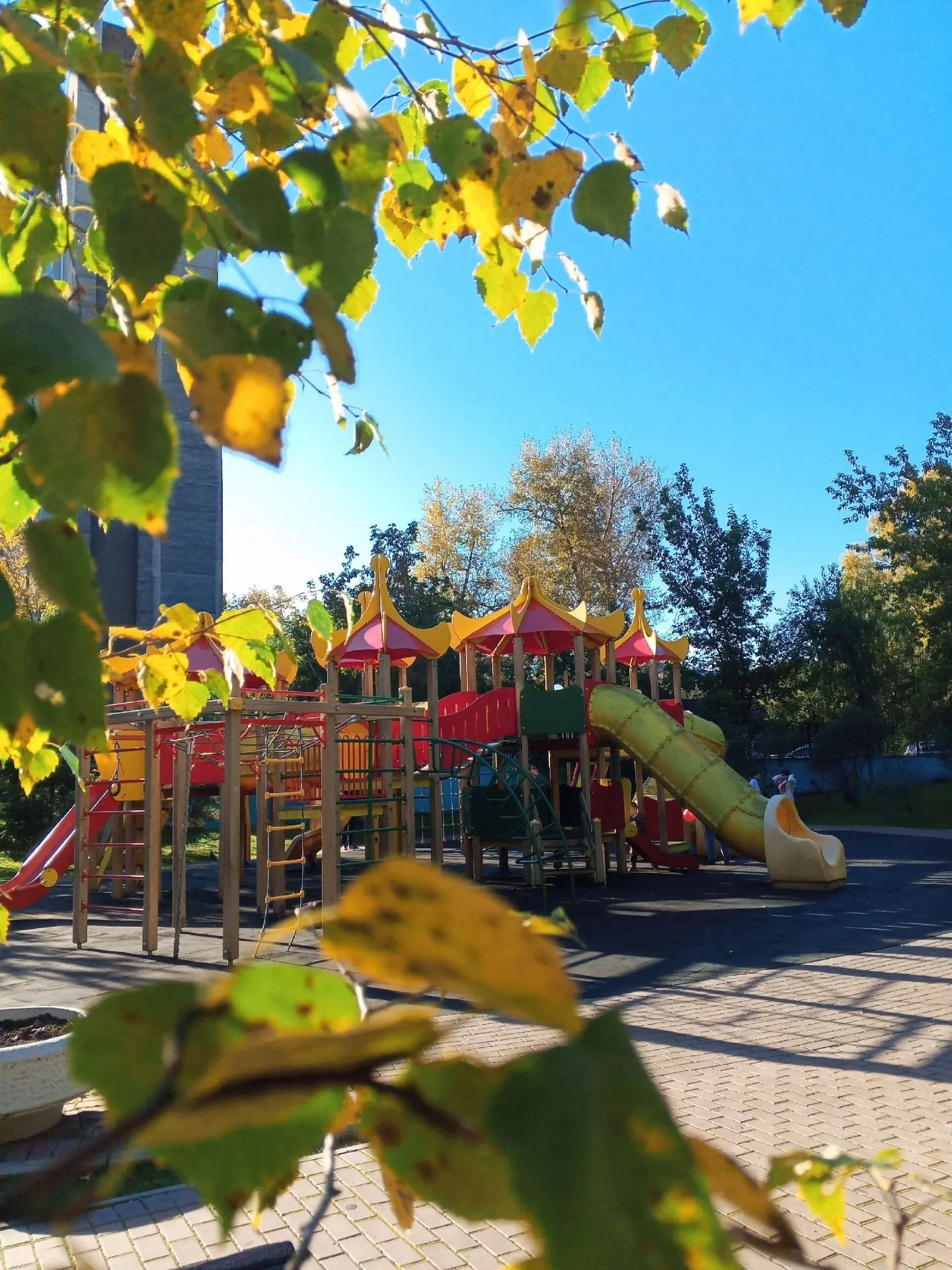 🍁 Наш парк прекрасен в любое время года…