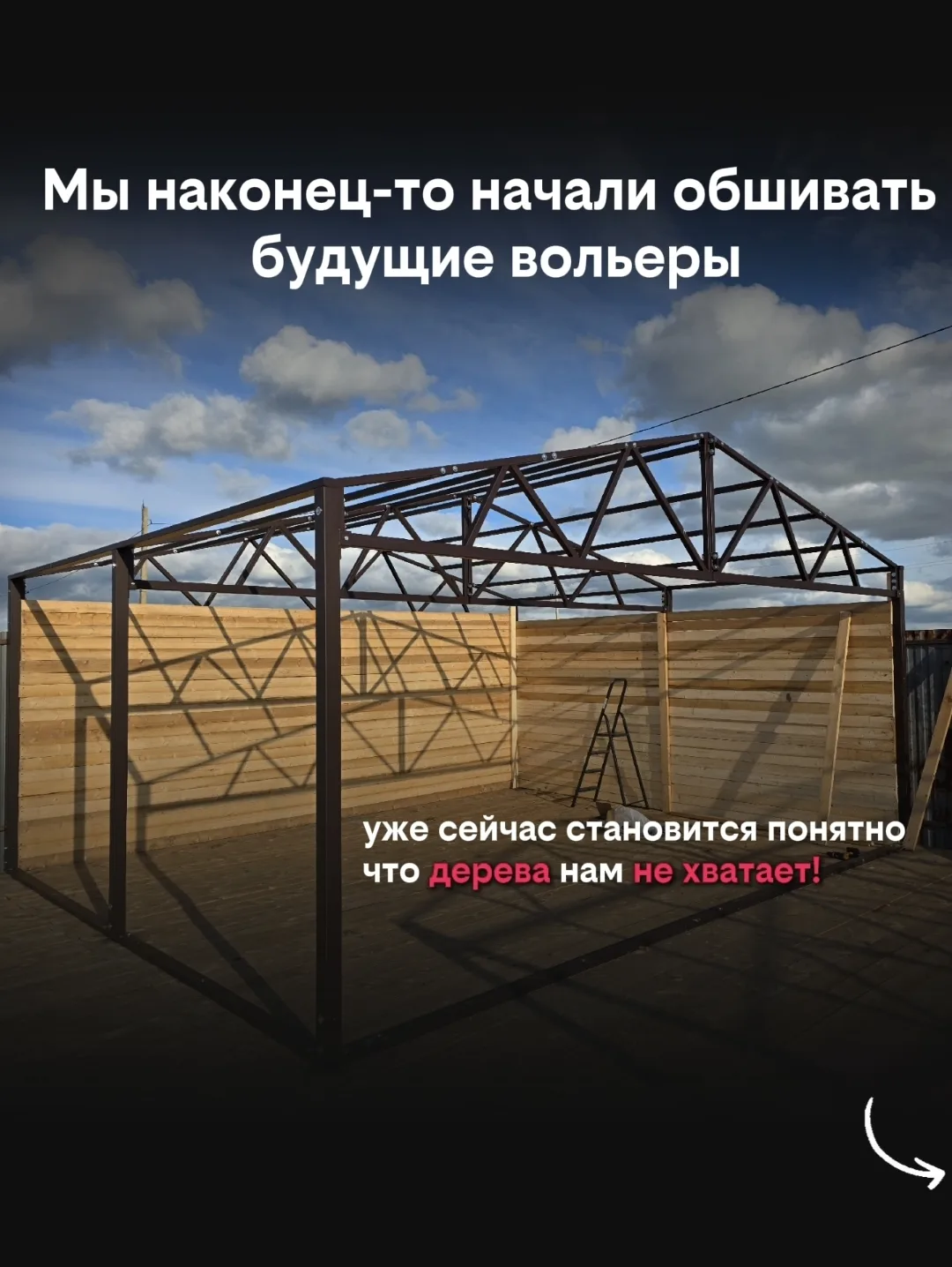 Друзья, доска закончилась для обшивки вольеров 😭 работать не с чем . Стройка приюта ст...