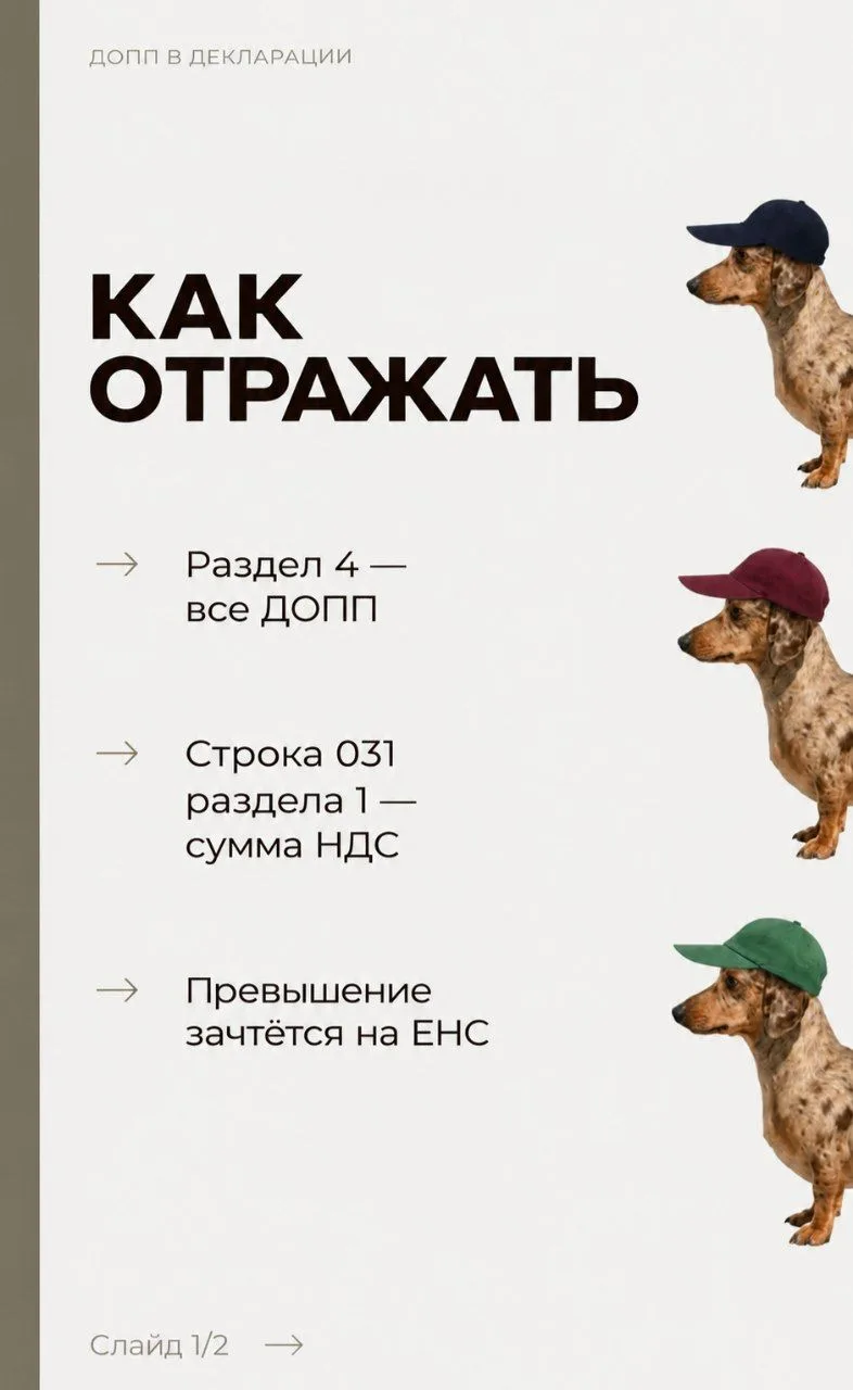 Задвоенные ДОПП: алгоритм для бухгалтера 📋