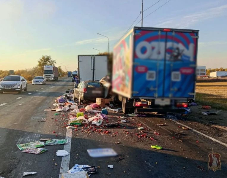 В массовом ДТП с грузовиком «Озона» в Волгоградской области пострадала женщина