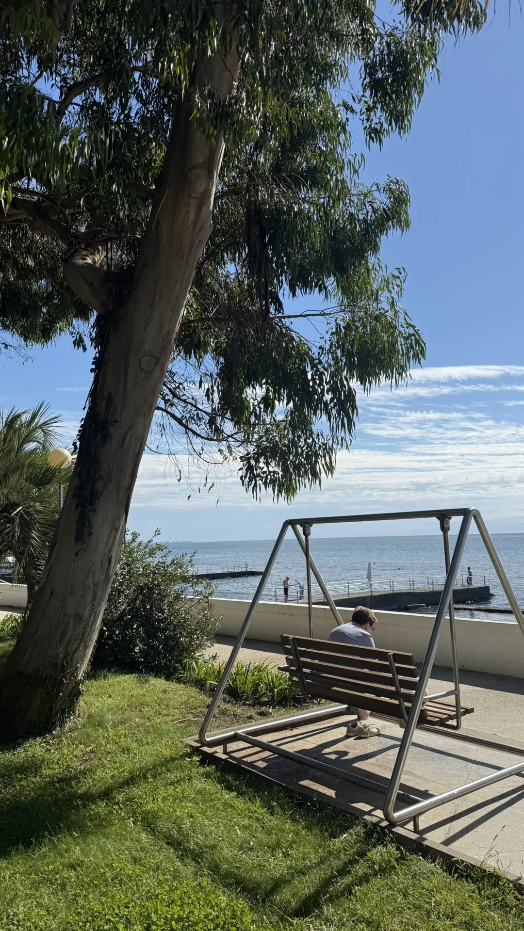 ☀️🌊🌴