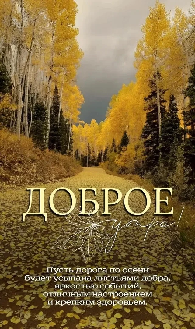 👉 ОТКРЫТКИ 💗 С добрым утром!