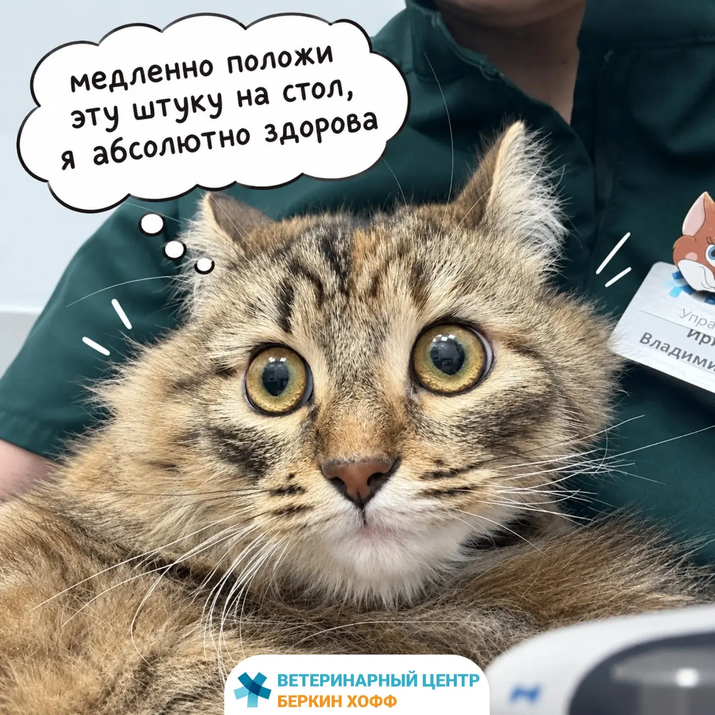 Тот самый момент, когда ожидала всякие ужасы, а тебя взяли на ручки, и бояться оказалос...
