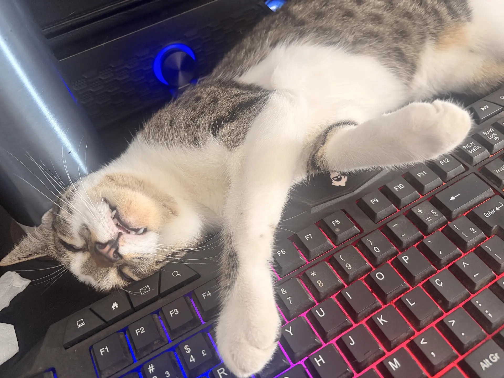 Это ты в 8 утра на работе 😴😸