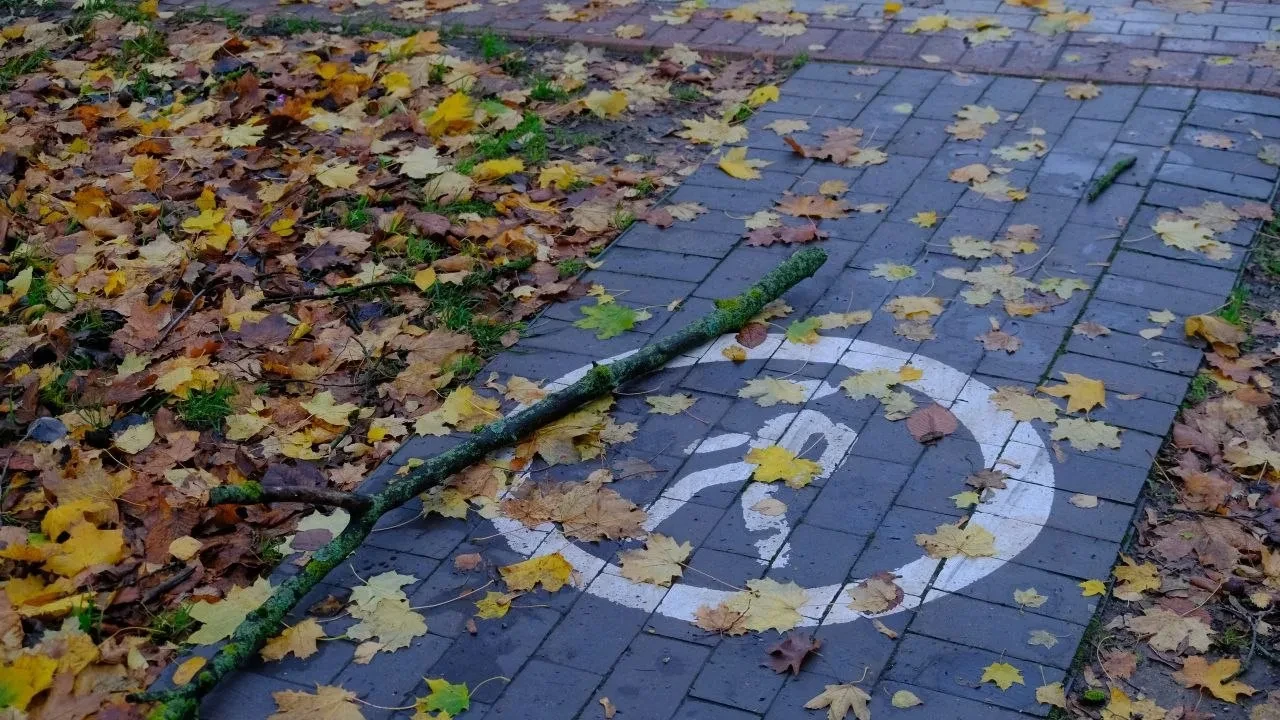 👶 Свободное посещение в школах и детсадах