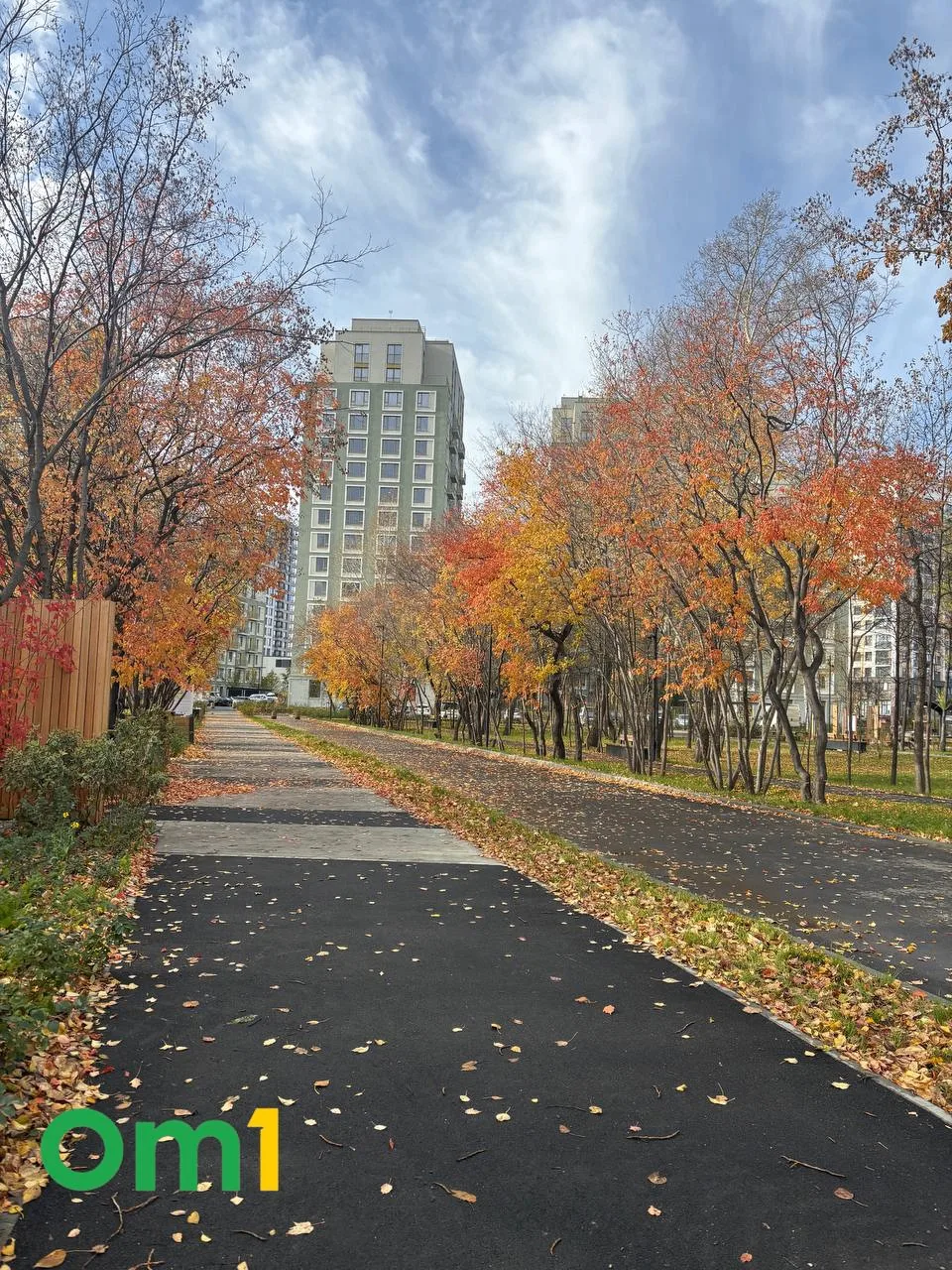 🍂Вспомним, какой красочной была осень без снега?