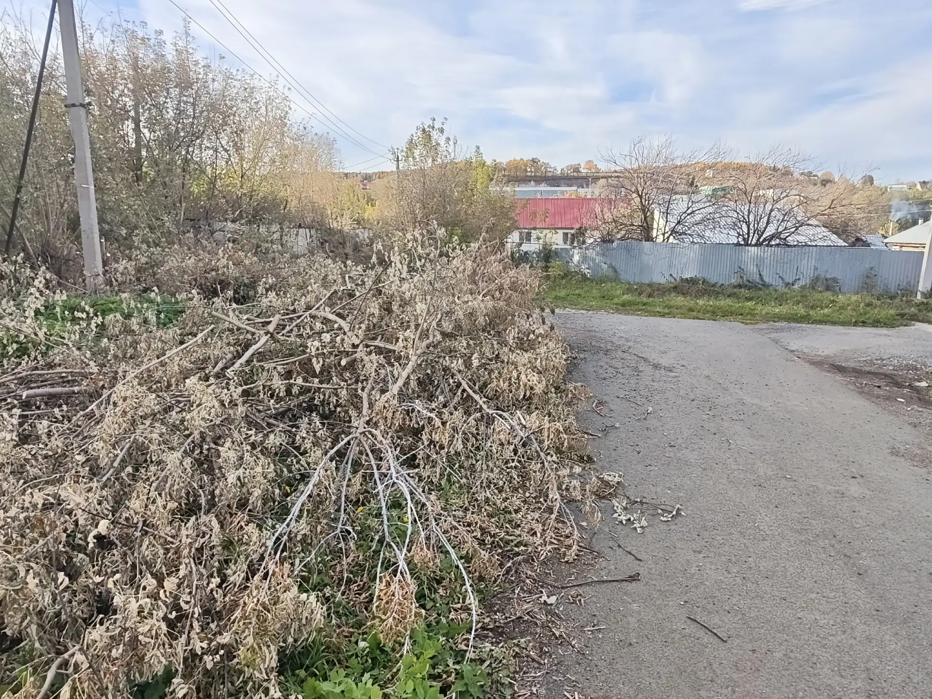 От подписчика