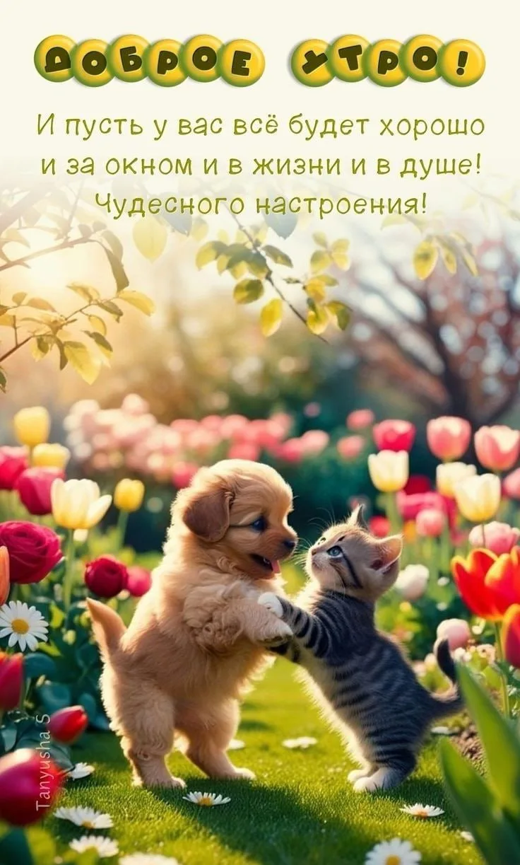 Доброе утро!🐶🐱