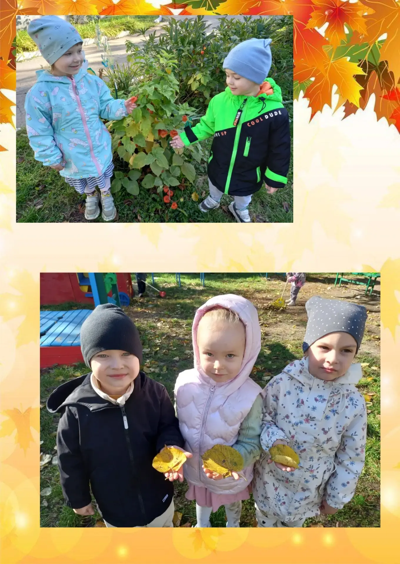 Золотая осень в ладошках🌤🍁