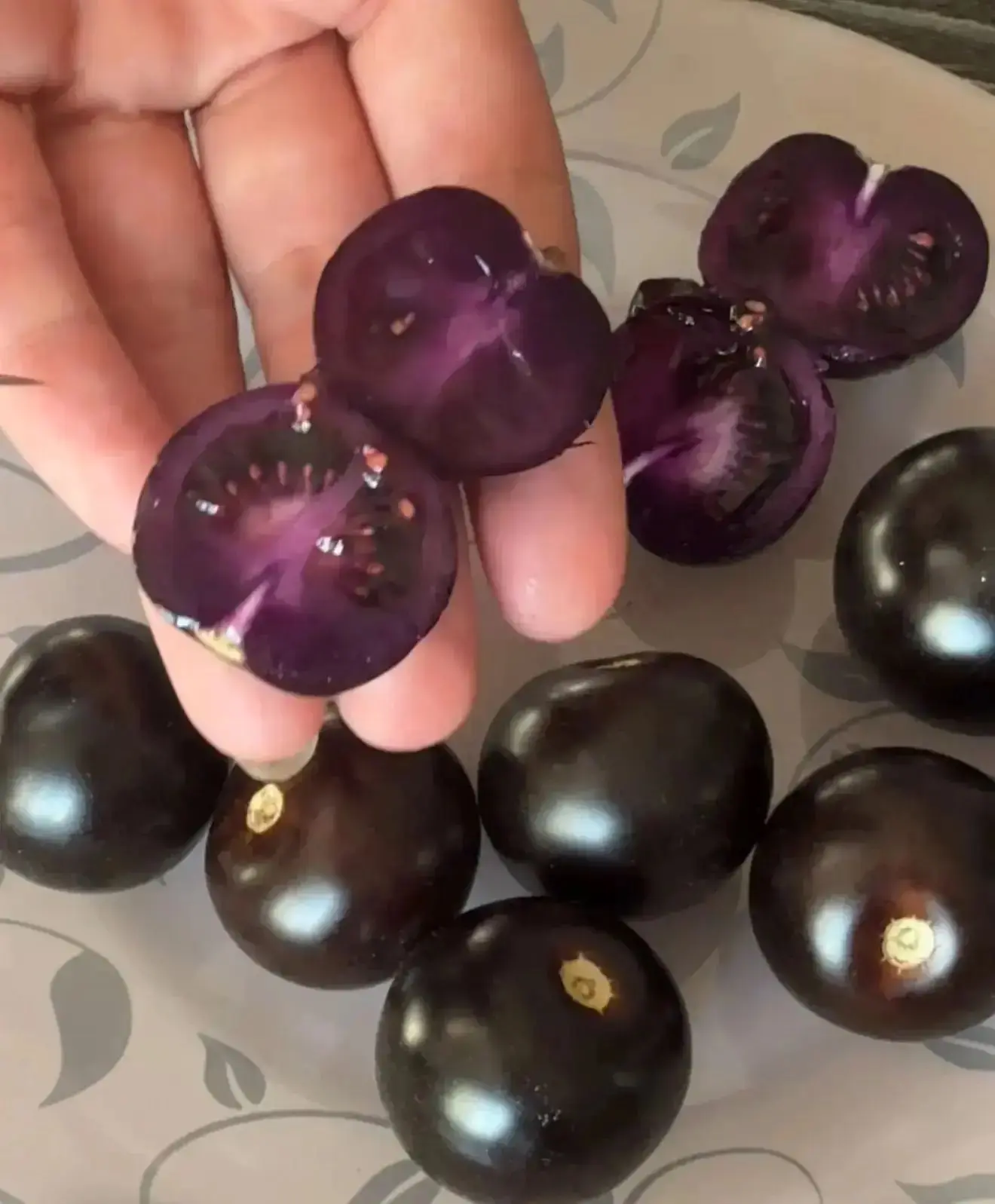 Большой набор наших семян на Wildberries 🍅🥒