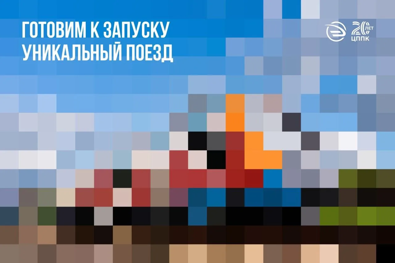 Такого поезда вы точно не видели