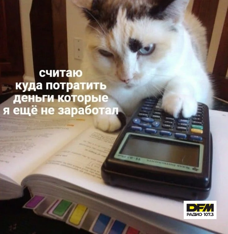 Узнать, насколько круто вы управляете своими кровными, теперь можно абсолютно бесплатно...