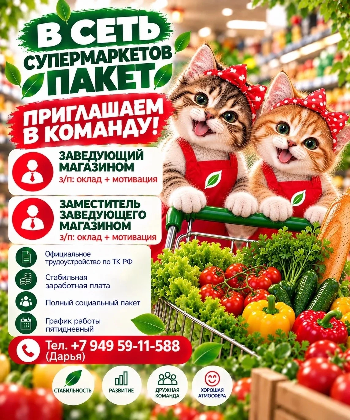 Мы предлагаем: