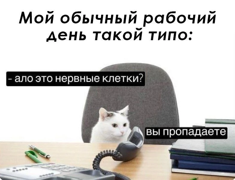 Это треш 😨.