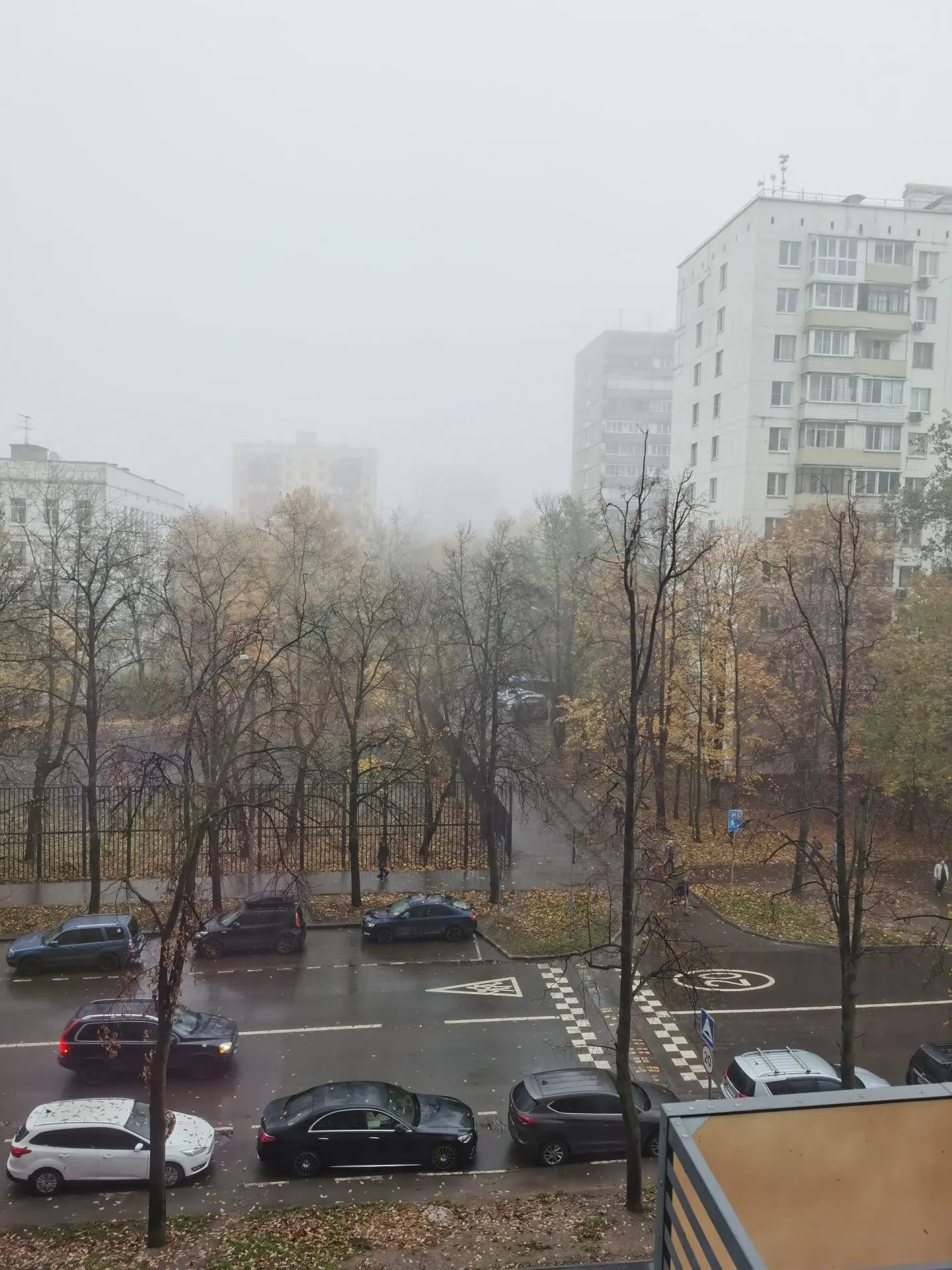 такая сегодня красивая дымка.... ☁️
